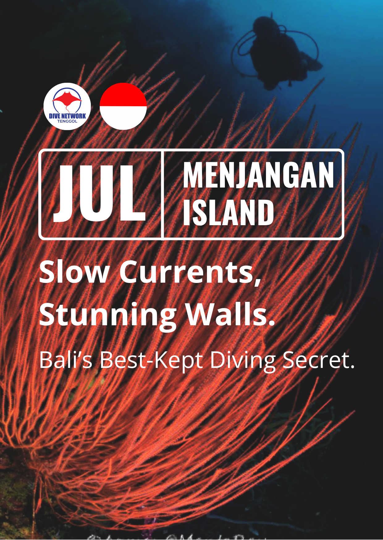 Menjangan Island