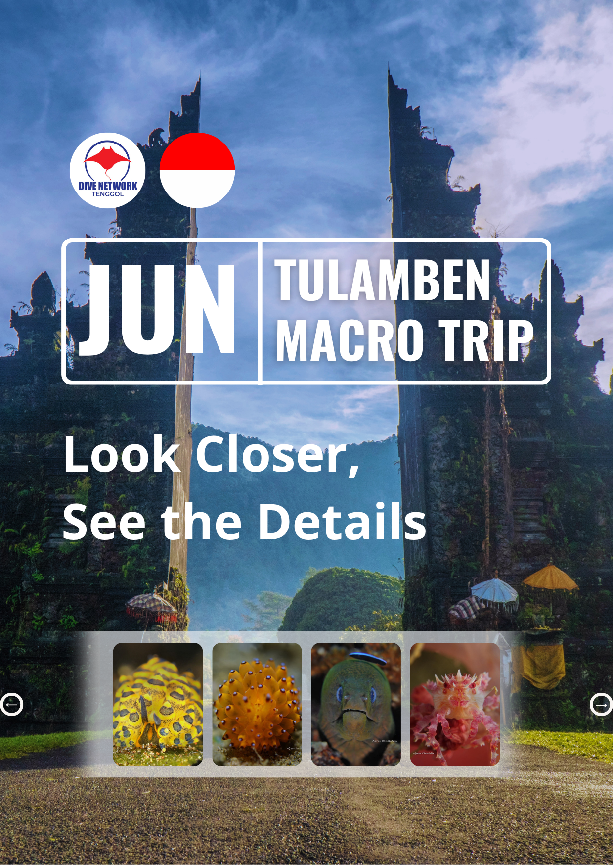 Tulamben Macro Trip
